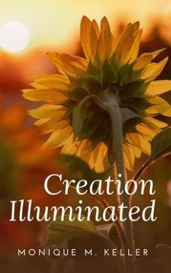 Cover Creation Illuminated (eBook, ePUB)