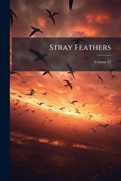 Cover Stray Feathers