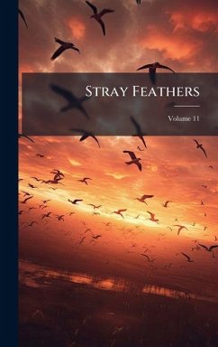 Cover Stray Feathers
