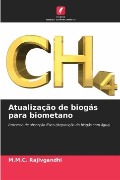 Atualização de biogás para biometano Cover Atualização de biogás para biometano