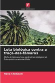 Luta biológica contra a traça-das-tâmaras