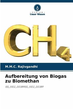 Aufbereitung von Biogas zu Biomethan Cover Aufbereitung von Biogas zu Biomethan