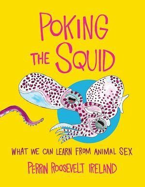 Poking the Squid Poking the Squid