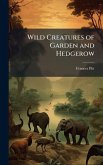 Wild Creatures of Garden and Hedgerow Wild Creatures of Garden and Hedgerow