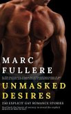 Unmasked Desires - 250 Explicit Gay Romance Stories - Peel back the layers of secrecy to reveal the explicit desires of men in love (eBook, ePUB)