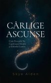 Hidden Hooks / Cârlige Ascunse (eBook, ePUB)