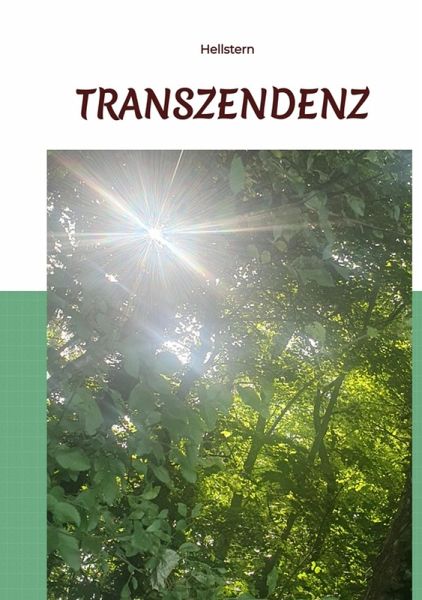 Transzendenz (eBook, ePUB)