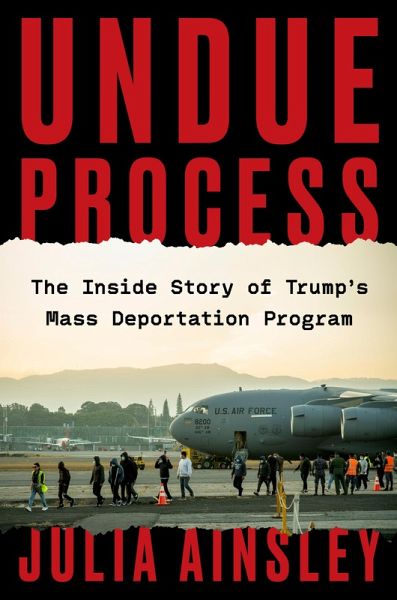 Undue Process (eBook, ePUB)