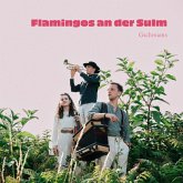 Flamingos An Der Sulm Flamingos An Der Sulm