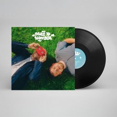 Dare To Wonder - Summers Sons