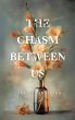The Chasm Between Us (eBook, ePUB) - Bild 1