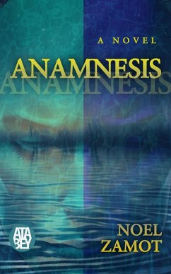 Anamnesis (eBook, ePUB) Cover Anamnesis (eBook, ePUB)