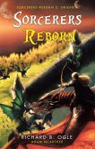 Sorcerers Reborn: Orighen (eBook, ePUB)