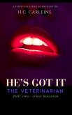 He's Got It: The Veterinarian (2 STRAY BEHAVIOR) (eBook, ePUB)