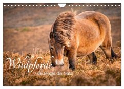 Wildperde - die Magie der Natur (Wandkalender 2026 DIN A4 quer), CALVENDO Monatskalender