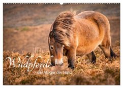 Wildperde - die Magie der Natur (Wandkalender 2026 DIN A2 quer), CALVENDO Monatskalender