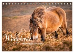 Wildperde - die Magie der Natur (Tischkalender 2026 DIN A5 quer), CALVENDO Monatskalender