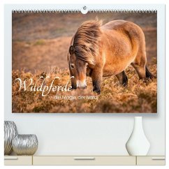 Wildperde - die Magie der Natur (hochwertiger Premium Wandkalender 2026 DIN A2 quer), Kunstdruck in Hochglanz