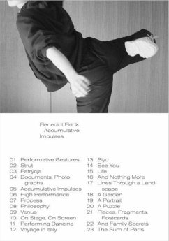 Cover N° 3 : Accumulative Impulses