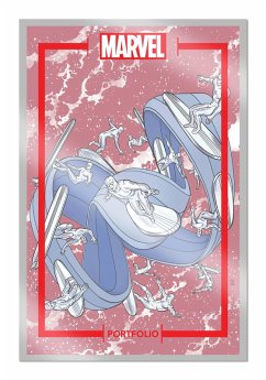 Cover The Marvel Portfolio of Michael Allred - Silver Surfer