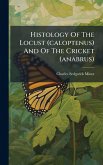 Histology Of The Locust (caloptenus) And Of The Cricket (anabrus)