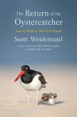 The Return of the Oystercatcher The Return of the Oystercatcher