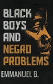 Black Boys and Negro Problems