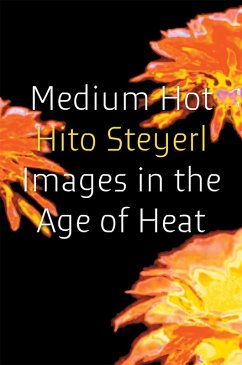 Medium Hot - Steyerl, Hito