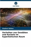 Verhalten von Geodäten und Kacheln im hyperbolischen Raum
