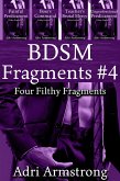 BDSM Fragments #4 (Filthy Fragments, #26) (eBook, ePUB)