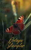 Ortaya Yazislar (eBook, ePUB)