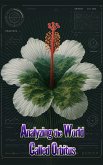Analyzing the World Called Orbitus (eBook, ePUB) Analyzing the World Called Orbitus (eBook, ePUB)