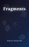 Fragments (eBook, ePUB)