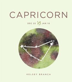 Cover Zodiac Signs: Capricorn (eBook, ePUB)