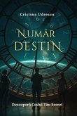 Numar Destin (eBook, ePUB)
