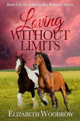 Loving Without Limits (Edenton Bay Romance Series, Book 3) (eBook, ePUB)