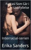 Fantasi Som Går i Uppfyllelse (Interracial-serien) (eBook, ePUB)