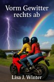 Vorm Gewitter rechts ab (eBook, ePUB)
