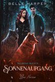 Sonnenaufgang (eBook, ePUB)