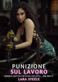 Punizione sul Lavoro (eBook, ePUB)