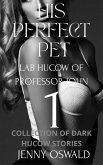 His Perfect Pet - Lab Hucow Of Professor John - Collection Of Dark Hucow Stories (eBook, ePUB)