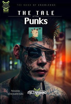 Metaisland - Book 3 - The Tale of the Punks (eBook, ePUB) - Choukroun, Nicolas