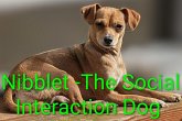 Nibblet-The Social Interaction Dog (eBook, ePUB) Nibblet-The Social Interaction Dog (eBook, ePUB)