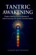 Tantric Awakening (eBook, ePUB) - Bild 1