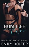 Humiliée par mon Coloc (Colocation Indécente, #2) (eBook, ePUB)