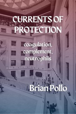 Cover Currents of Protection (eBook, ePUB)