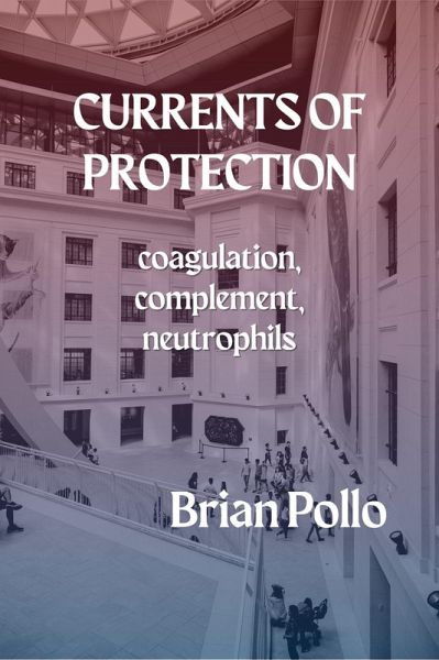Currents of Protection (eBook, ePUB)