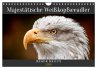 Majestätische Weißkopfseeadler - Der... - Bild 1
