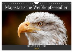 Cover Majestätische Weißkopfseeadler - Der König der Lüfte (Wandkalender 2026 DIN A4 quer), CALVENDO Monatskalender