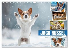 Cover JACK RUSSEL - Kleine Hunde mit großem Charakter (Wandkalender 2026 DIN A3 quer), CALVENDO Monatskalender
